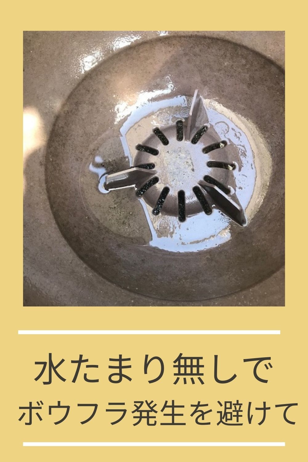 屋外（庭、ガーデン、玄関、ベランダ）の蚊対策の最強の決め手です「大蔵工業、蚊シャットくん」。継続的な効果を実感です。感想／注意ポイントを丁寧に