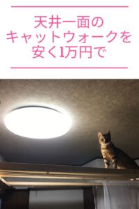 Diyで 猫モノ 7種類 の作り方です キャットウォーク 14mや 猫の食事台 遊び場 猫こたつ 折り畳み式の猫ドア 落下防止ネット 水槽用格子フタがあります 大丈夫だよblog
