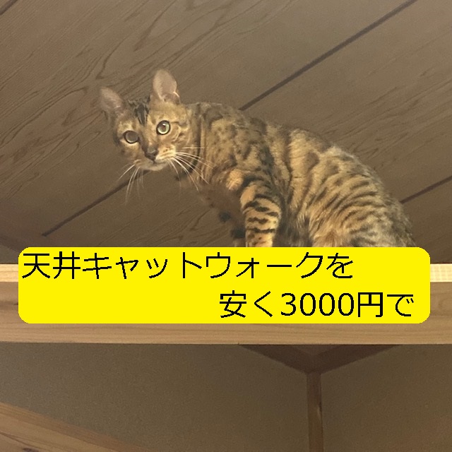 Diy 天井キャットウォークの安く3000円での作り方 ポイントは 落下防止策 大丈夫だよblog