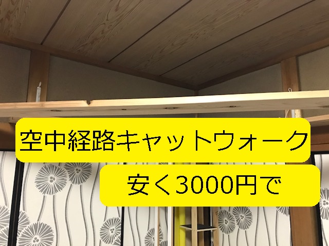 空中経路キャットウォークを安く約3000円で簡単な自作です 写真多めで 設計ポイント 注意ポイント を丁寧に記載 大丈夫だよblog