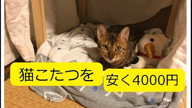 Diy 猫ドア関係 約10箇所 の工夫をキーワード別にご紹介 写真多めで 検討ポイントを丁寧に記載 大丈夫だよblog