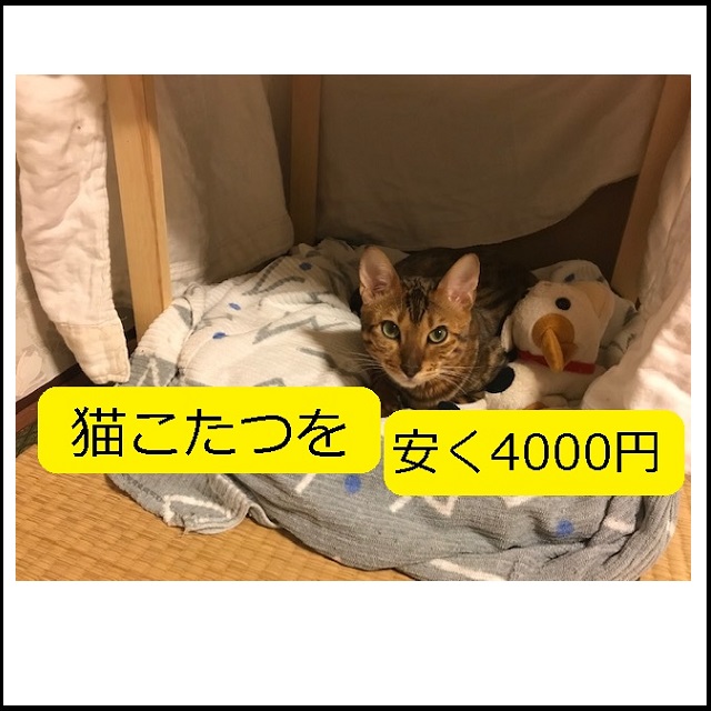 Diy 猫こたつをヒーター付きで安く4000円で 具体的な作り方 大丈夫だよblog