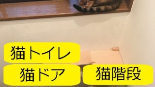 大丈夫だよblog｜DIY（自作）、猫モノ、リノベーション、お金、節約