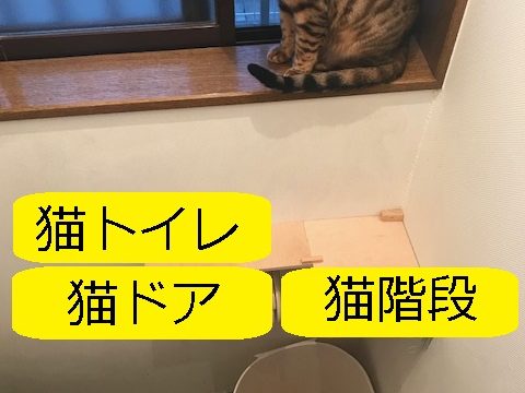 猫の引き戸です 100円の 養生カバー で 注意ポイントを丁寧に記載 大丈夫だよblog