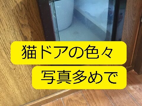 猫の引き戸です 100円の 養生カバー で 注意ポイントを丁寧に記載 大丈夫だよblog