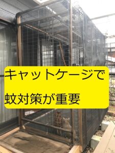 Diy 屋外 ベランダ のキャットケージは 蚊対策が重要 写真多めで分かりやすく 工夫ポイントを丁寧に記載 大丈夫だよblog