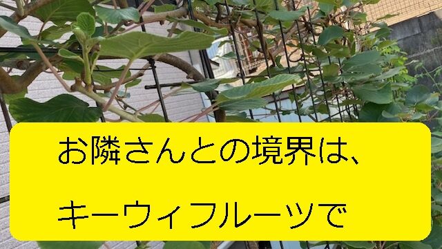 4m自立型と4mフェンス一体型のバラフェンスを安く3000円で 写真多めで 注意ポイントを丁寧に記載 大丈夫だよblog