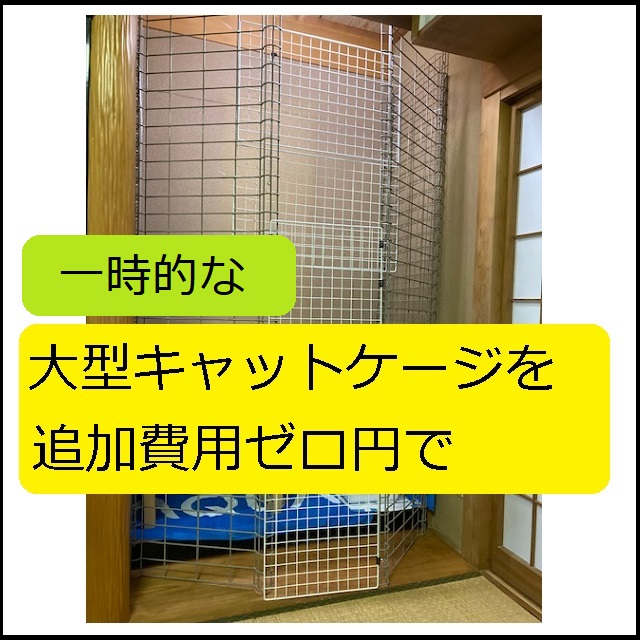 DIY】一時的な「「大型キャットケージ」を追加費用ゼロ円で