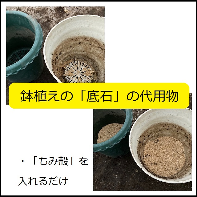 ホームガーデン 鉢植えで必ず必要な 底石 の代用物 もみ殻 の活用 大丈夫だよblog