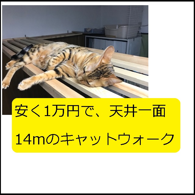 DIY】キャットウォークを「安く」「簡単な自作」（①天井一面14m、②3000円）｜大丈夫だよblog